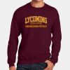 The Graphic Hive DTG Sweatshirt Thumbnail